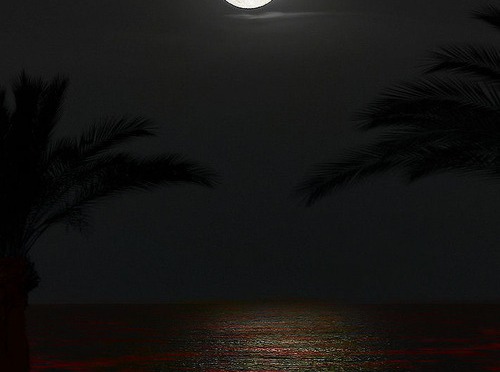 moon over crimson ocean