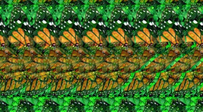 Beautiful 3D Butterflies – You can view the real image with a focused mind only.